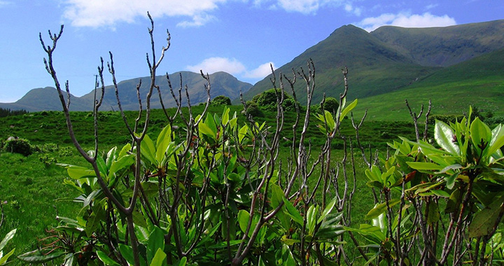 西安防静电地板厂家（通用2篇）(图2)