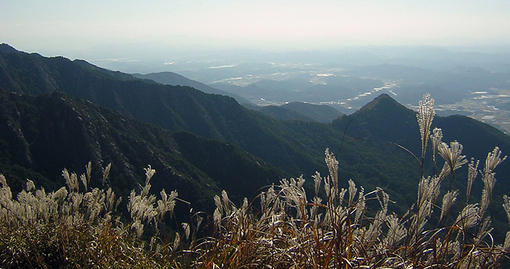 阴宅风水（通用2篇）(图1)