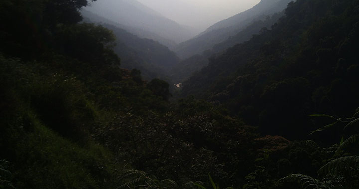 热镀锌钢格栅板厂家（通用2篇）(图3)